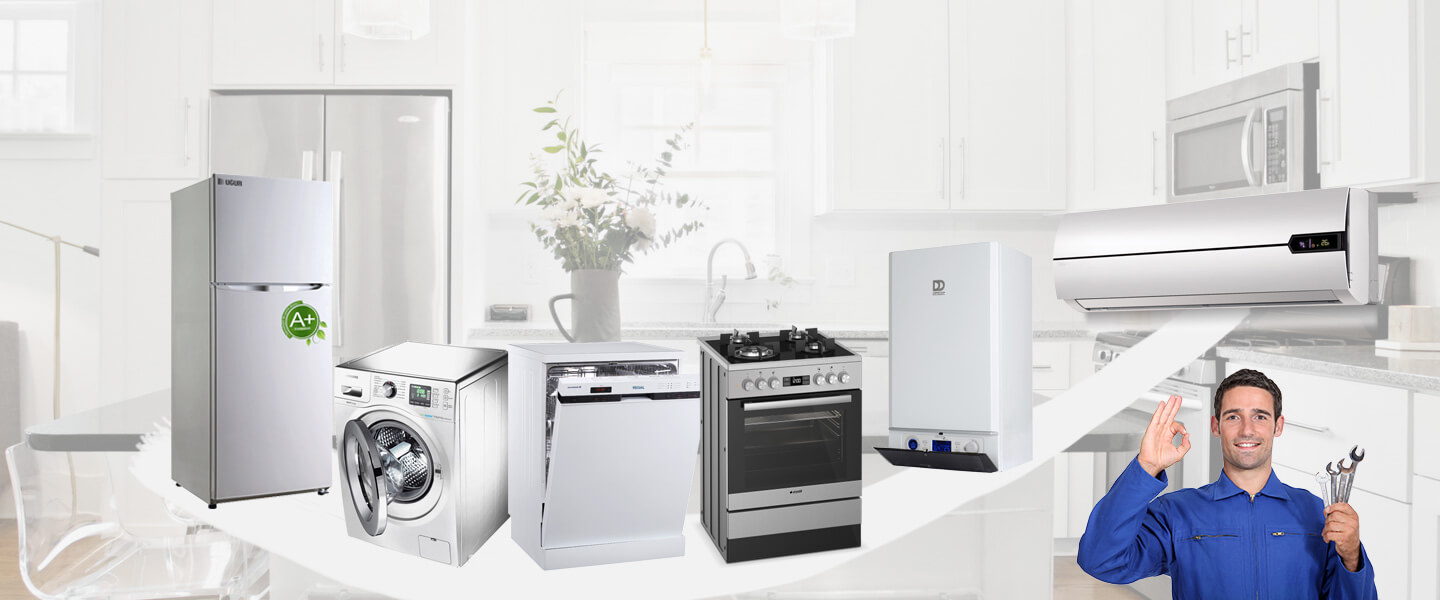 İkizce Smeg Servisi